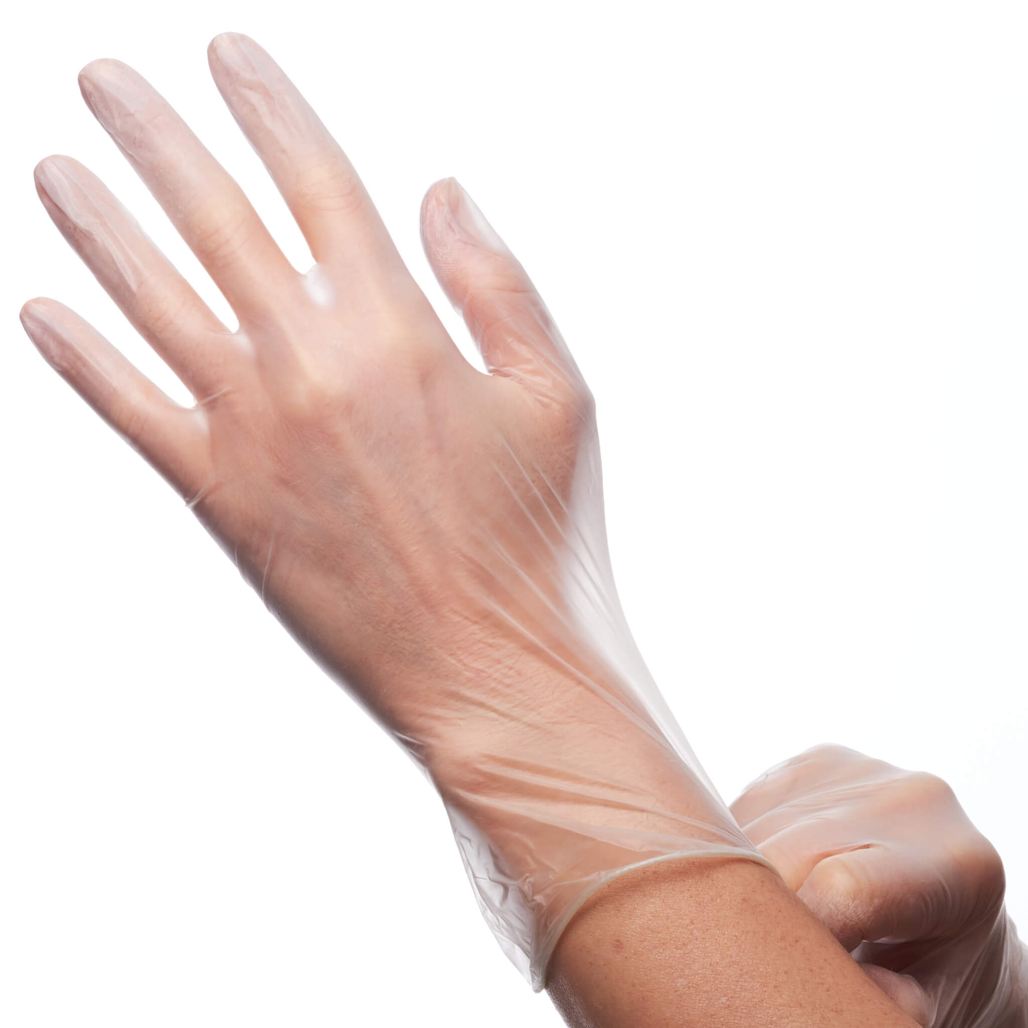 Vinyl powder free gloves on models hand