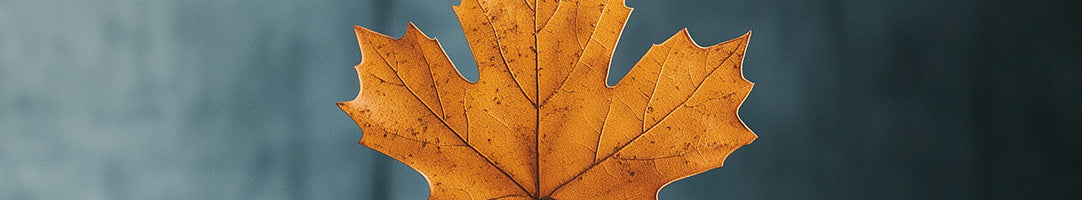 Made in Canada is symbolized by a segment of a Canadian fall maple leaf
