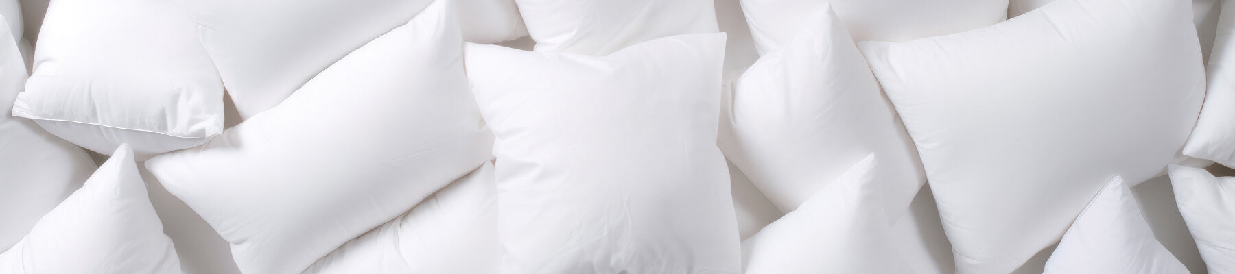 White Rabbit sitting on white pillows