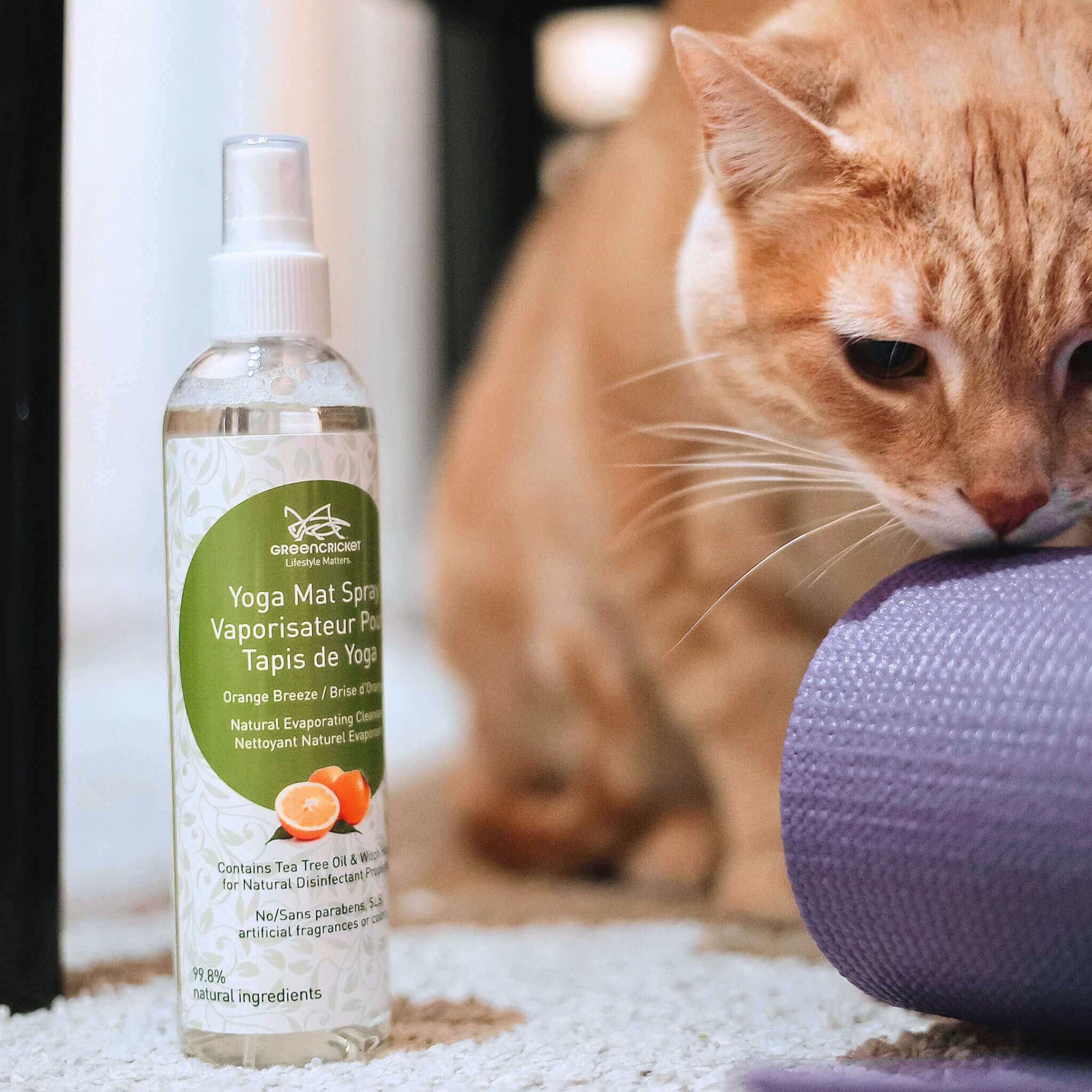 Green Cricket Yoga Mat Spray bottle with a cat playing with a ball in the background